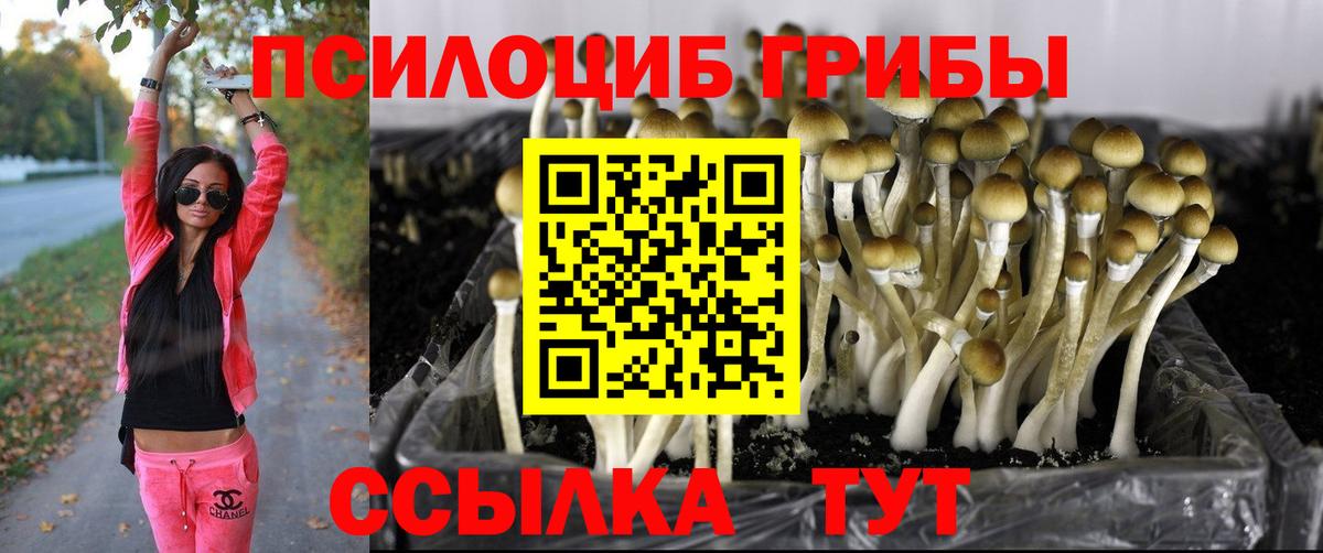 Галлюциногенные грибы мицелий Советская Гавань